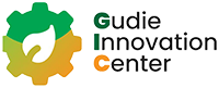 Gudie Innovation Center (GIC) E-Learning Logo